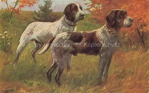 AK / Ansichtskarte  Hunde dogs chiens D.G.Z. Kuenstlerkarte