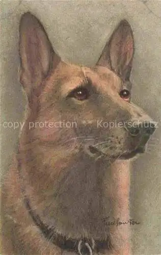 AK / Ansichtskarte  Schaeferhund Deutscher German Shepard allemand-- Asiatian Wolfhound Berget d Alsace 