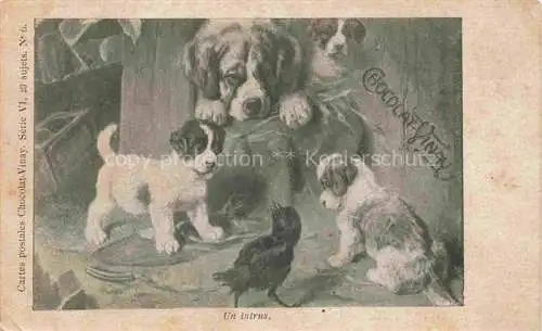 AK / Ansichtskarte  Hunde dogs chiens Chocolat Vinay Nr. 6 Rabe