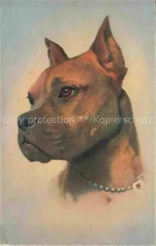 AK / Ansichtskarte  Hunde dogs chiens Boxer