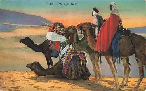 AK / Ansichtskarte  Kamele  Camel Chameau-- Sahara Vers le Sud 