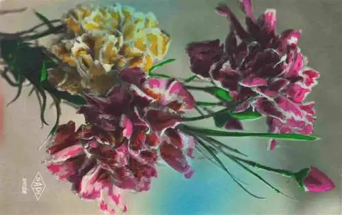 AK / Ansichtskarte  Foto SAPI Paris Nr. 2652