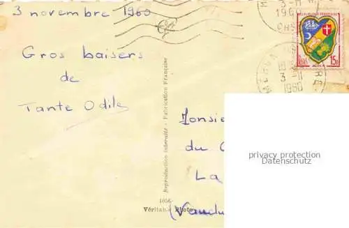 AK / Ansichtskarte  Hunde dogs chiens 1960 Ylla Welpe
