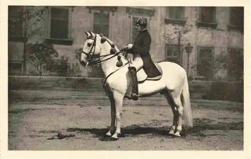 AK / Ansichtskarte  PFERDE Horses Cheval Spanische Reitenschule  Wien 