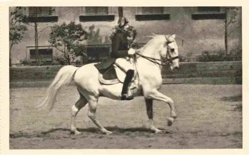 AK / Ansichtskarte  PFERDE Horses Cheval Spanische Reitenschule Wien Galopp