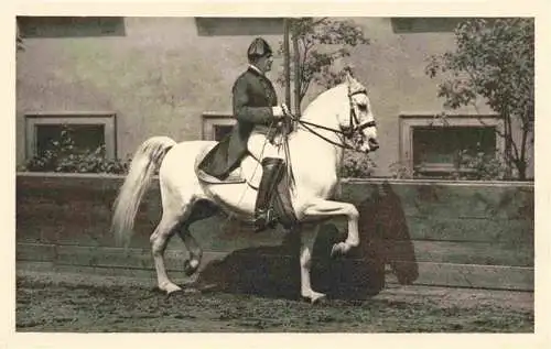 AK / Ansichtskarte  PFERDE Horses Cheval Spanische Reitenschule Wien Piaffe Spanischer Tritt