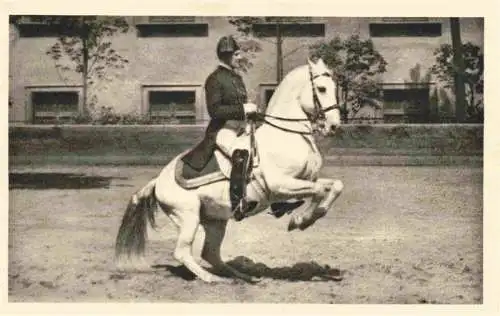 AK / Ansichtskarte  PFERDE Horses Cheval Spanische Reitenschule Wien Levade 