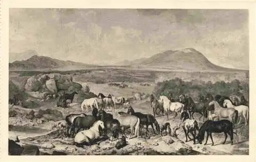 AK / Ansichtskarte  PFERDE Horses Cheval Gestuet Lippiza John. Georg v. Hamilton