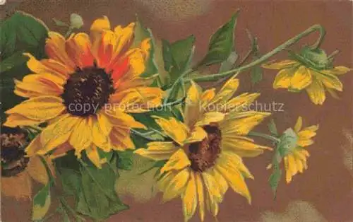 AK / Ansichtskarte  Sonnenblumen Blumen Flowers Fleurs Kuenstlerkarte