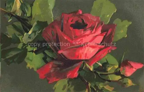 AK / Ansichtskarte  Rosen Roses Rosas-- T.A.M. Nr.1102 Litho Rot