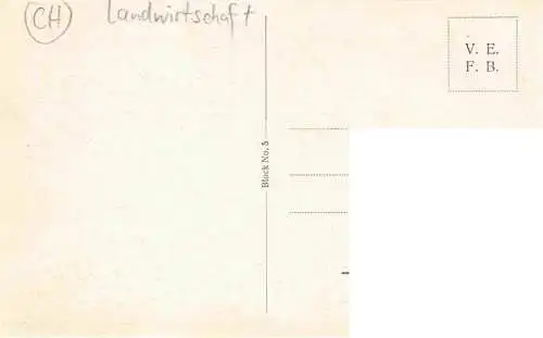 AK / Ansichtskarte  Landwirtschaft Kuehe Schweiz Alp