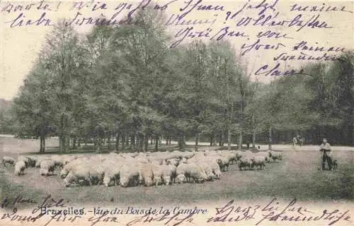 AK / Ansichtskarte  Schaeferei Sheperding Bergerie-- Bruxelles Bois de la Cambre