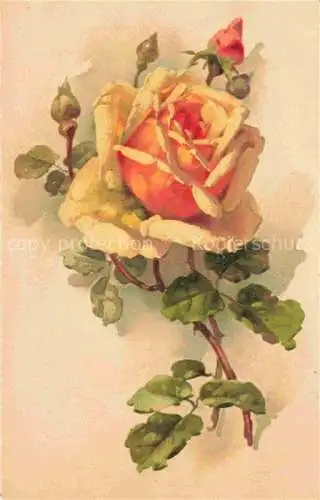 AK / Ansichtskarte  Rosen Roses Rosas-- Litho Gelb 