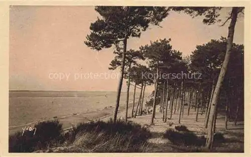 AK / Ansichtskarte  Moulleau La Teste-de-Buch 33 Gironde Le Parc des Abstilles