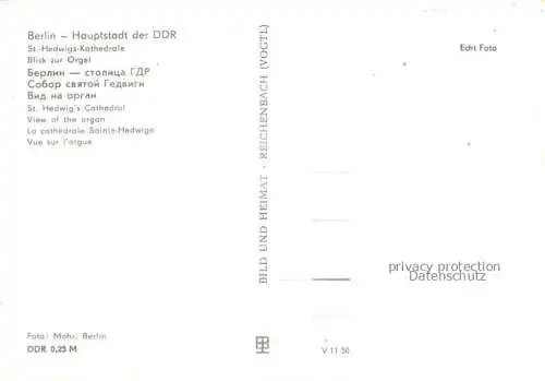 AK / Ansichtskarte  Orgel Kirchenorgel Organ Orgue Berlin DDR St. Hedwigs Kathedrale