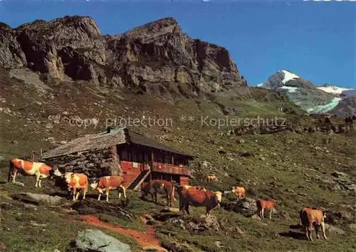 AK / Ansichtskarte  Kandersteg BE Sennhuette auf Unter-Oeschinenalp mit Rothorn-Fruendenhorn Berner Alpen