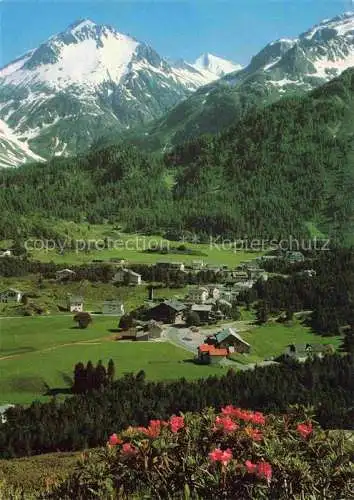 AK / Ansichtskarte  Maloja GR Panorama Monte del Forno Alpenflora