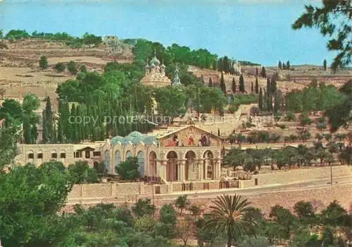 AK / Ansichtskarte  Jerusalem  Yerushalayim Israel Basilica and Gardens of Gethsemane