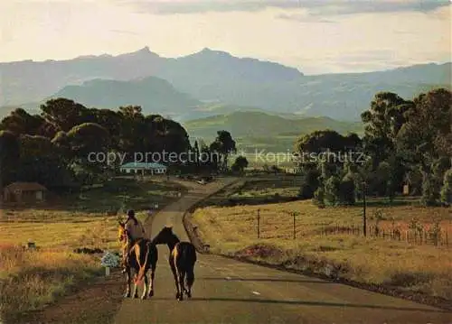 AK / Ansichtskarte  Underberg Natal Southafrica Panorama Pferde