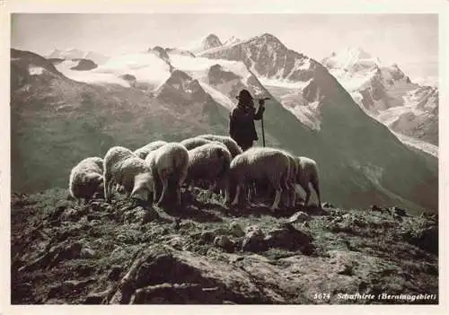 AK / Ansichtskarte  Schaeferei Sheperding Bergerie-- Schafhirte Berninagebiet Bern Schweiz