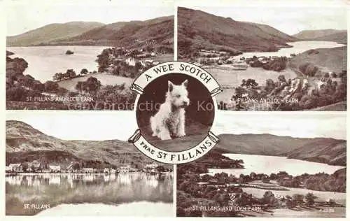 AK / Ansichtskarte  St Fillans Perth Panorama Loch Earn Little Dog