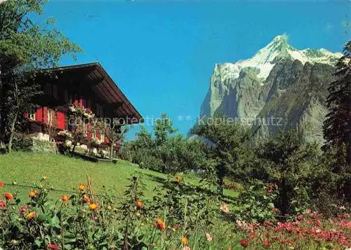 AK / Ansichtskarte  Grindelwald BE Berghaus Blick gegen Wetterhorn Berner Alpen