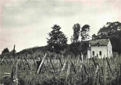 AK / Ansichtskarte  Chapelle-des-Bois Pontarlier 25 Doubs Les Trois Châteaux