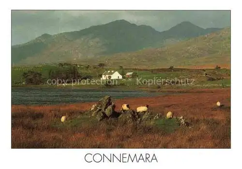 AK / Ansichtskarte  Connemara Ireland Panorama Maamturk Mountains