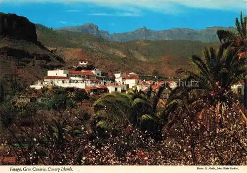 AK / Ansichtskarte  Fataga Gran Canaria ES Panorama