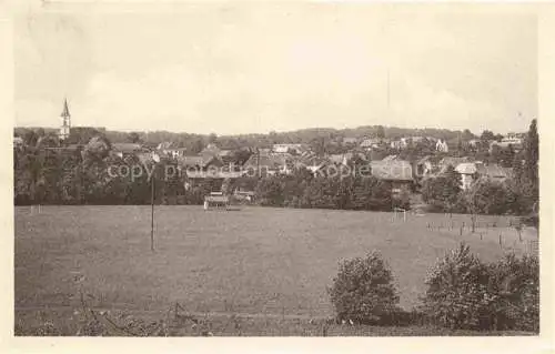 AK / Ansichtskarte  Seppois-le-Bas Niedersept Altkirch 68 Haut-Rhin Vue générale