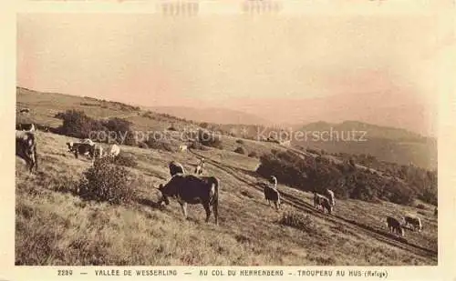 AK / Ansichtskarte  Wesserling Husseren Thann 68 Haut-Rhin Panorama Vallée de Wesserling au Col du Herrenberg troupeau au hus