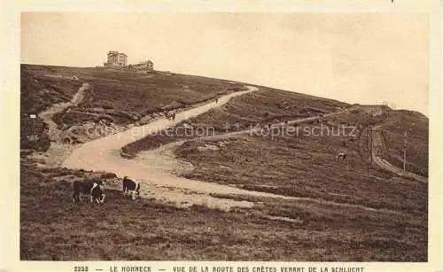 AK / Ansichtskarte  La Schlucht 1150m Gerardmer 88 Vosges Le Hohneck vue de la Route des Crêtes