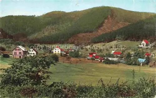 AK / Ansichtskarte  Wangenbourg-Engenthal 67 Alsace Panorama