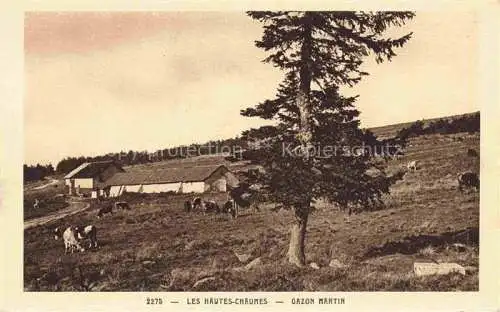 AK / Ansichtskarte  Gazon Martin Soultzeren Colmar 68 Haut-Rhin Les Hautes Chaumes