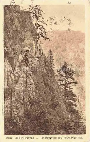 AK / Ansichtskarte  Hohneck Le 88 Vosges Le sentier du Frankental