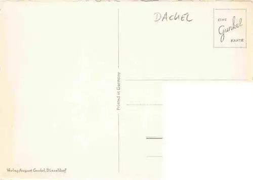 AK / Ansichtskarte  Dackel Dachshund Teckel Hunde dogs Chiens Cani August Gunkel Duesseldorf