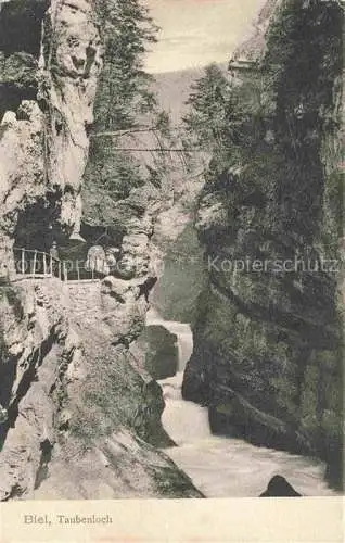 AK / Ansichtskarte  Biel Bienne BE Taubenlochschlucht