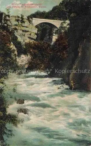 AK / Ansichtskarte  Biel Bienne BE Taubenlochschlucht Bruecke