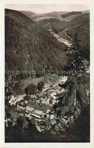 AK / Ansichtskarte  Falkenstein Bayerischer Wald Regen Panorama Blick ins Tal Brauereigaststaette