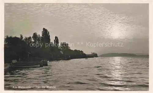 AK / Ansichtskarte  Bielersee Lac de Bienne BE in der Abendsonne