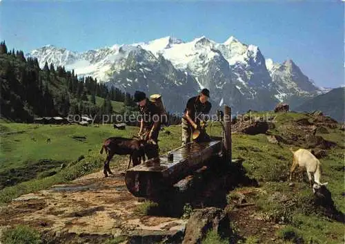 AK / Ansichtskarte  Lauterbrunnen BE Bergbauern Holzbrunnen Traenke Wetterhorngruppe Berner Alpen