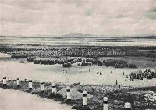 AK / Ansichtskarte  Altai-Mountains Altai-Gebirge Mongolia Landschaftspanorama Grande Route Tchouisky