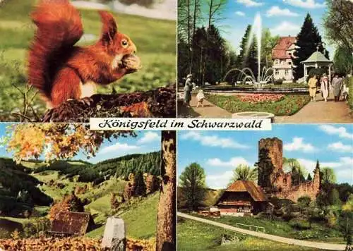 AK / Ansichtskarte  Koenigsfeld  Baden Schwarzwald BW Eichhoernchen Kurpark Herbststimmung Ruine Waldau