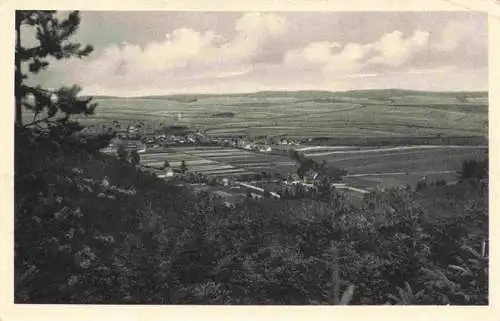 AK / Ansichtskarte  Friedrichsanfang Crawinkel Thueringen Panorama
