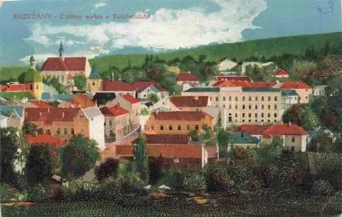 AK / Ansichtskarte  Brzezani Bereschany Brzezany Ternopil UA Panorama