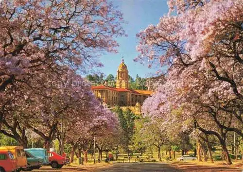 AK / Ansichtskarte  Pretoria Jacaranda Time Union Buildings