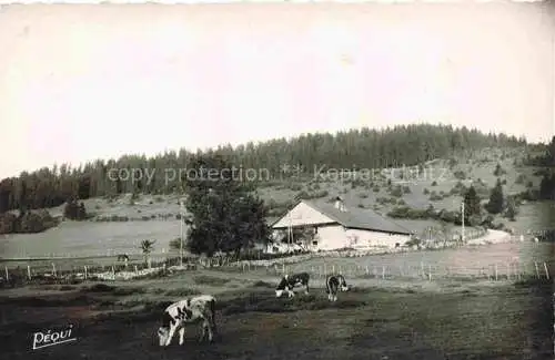 AK / Ansichtskarte  Morteau Pontarlier 25 Doubs Vue générale