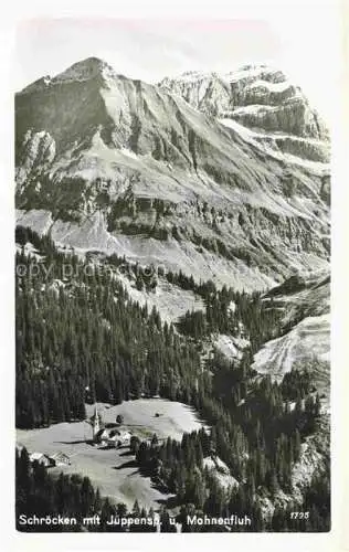 AK / Ansichtskarte  Schroecken Schroeken 1300m Nesslegg Bregenzer Wald Vorarlberg AT mit Juppenspitze und Mohnenfluh Alpenpanorama