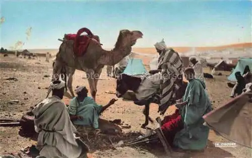 AK / Ansichtskarte  Kamele  Camel Chameau-- cigogne Wueste Maroc Marokko Casablanca