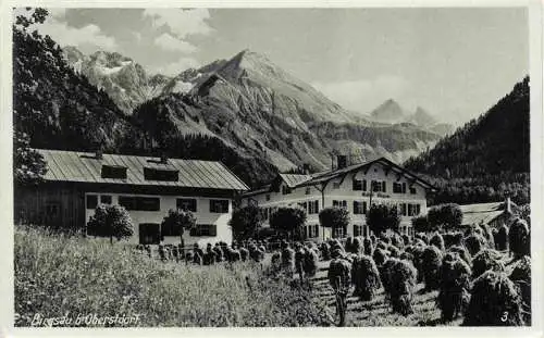 AK / Ansichtskarte  Birgsau Oberstdorf Ortspartie